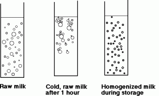 What is non-homogenized milk and why should you switch to it?