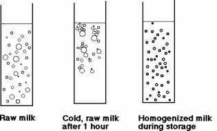 fat molecules in natural state