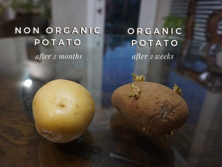 Do you know why non-organic potatoes are always shiny and organic potatoes not the prettiest looking?